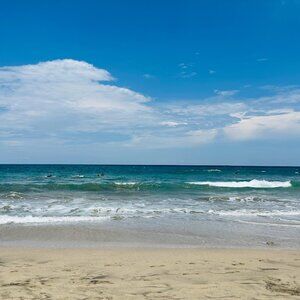 Meet your Posher, Diana